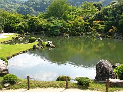 village pond